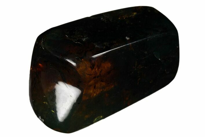 Polished Chiapas Amber ( grams) - Mexico #180479